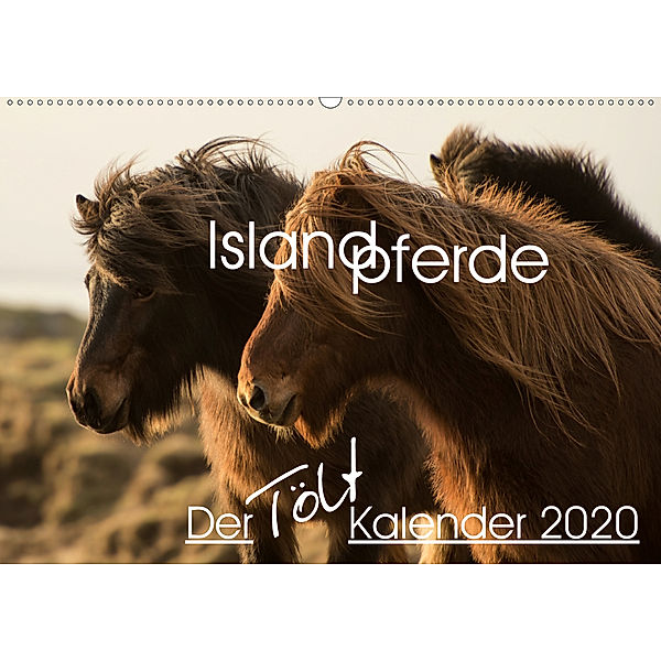 Islandpferde - Der Tölt Kalender (Wandkalender 2020 DIN A2 quer), Irma van der Wiel