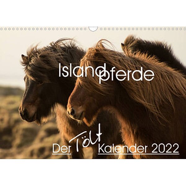 Islandpferde - Der Tölt Kalender (Wandkalender 2022 DIN A3 quer), Irma van der Wiel - www.kalender-atelier.de