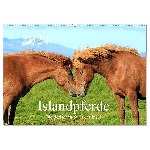 Islandpferde - Die tierischen Stars der Insel (Wandkalender 2024 DIN A2 quer), CALVENDO Monatskalender, Rainer Großkopf
