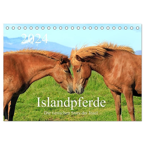 Islandpferde - Die tierischen Stars der Insel (Tischkalender 2024 DIN A5 quer), CALVENDO Monatskalender, Rainer Grosskopf