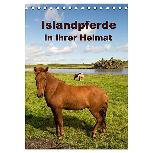 Islandpferde in ihrer Heimat (Tischkalender 2024 DIN A5 hoch), CALVENDO Monatskalender, Winfried Rusch