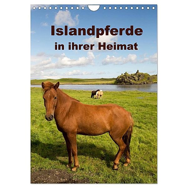 Islandpferde in ihrer Heimat (Wandkalender 2025 DIN A4 hoch), CALVENDO Monatskalender, Calvendo, Winfried Rusch