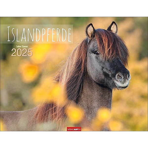 Islandpferde Kalender 2025