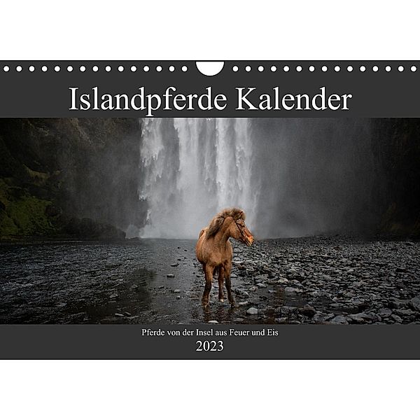 Islandpferde Kalender - Pferde von der Insel aus Feuer und Eis (Wandkalender 2023 DIN A4 quer), Alexandra Voth