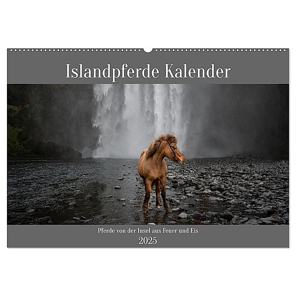 Islandpferde Kalender - Pferde von der Insel aus Feuer und Eis (Wandkalender 2025 DIN A2 quer), CALVENDO Monatskalender, Calvendo, Alexandra Voth