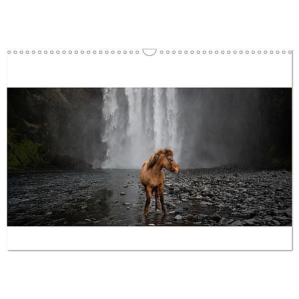 Islandpferde Kalender - Pferde von der Insel aus Feuer und Eis (Wandkalender 2024 DIN A3 quer), CALVENDO Monatskalender, Alexandra Voth