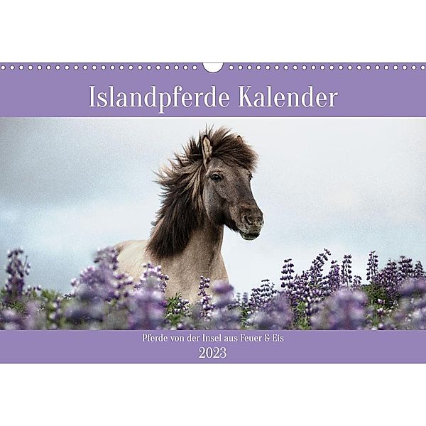 Islandpferde Kalender (Wandkalender 2023 DIN A3 quer), Alexandra Voth