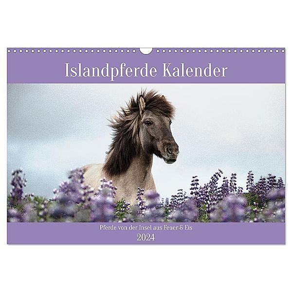 Islandpferde Kalender (Wandkalender 2024 DIN A3 quer), CALVENDO Monatskalender, Alexandra Voth