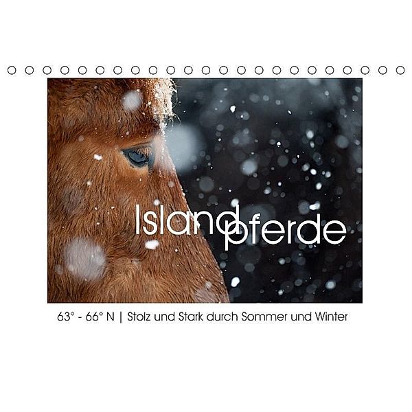 Islandpferde - Stolz und Stark durch Sommer und Winter (Tischkalender 2017 DIN A5 quer), Irma van der Wiel, Irma van der Wiel