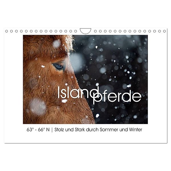 Islandpferde - Stolz und Stark durch Sommer und Winter (Wandkalender 2024 DIN A4 quer), CALVENDO Monatskalender, Irma van der Wiel