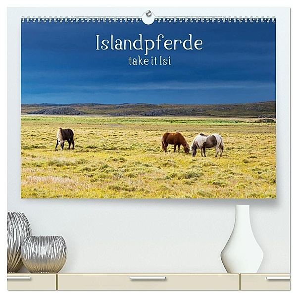 Islandpferde take it Isi (hochwertiger Premium Wandkalender 2024 DIN A2 quer), Kunstdruck in Hochglanz, Klaus Gerken