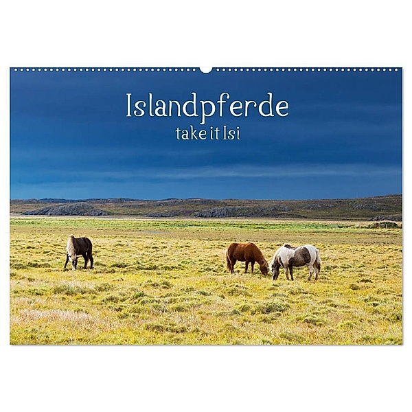 Islandpferde take it Isi (Wandkalender 2024 DIN A2 quer), CALVENDO Monatskalender, Klaus Gerken