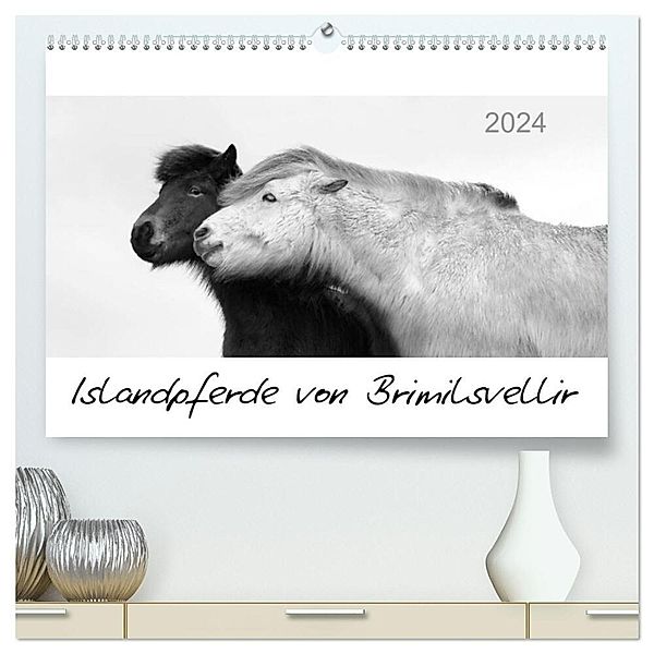 Islandpferde von Brimilsvellir (hochwertiger Premium Wandkalender 2024 DIN A2 quer), Kunstdruck in Hochglanz, Jutta Albert