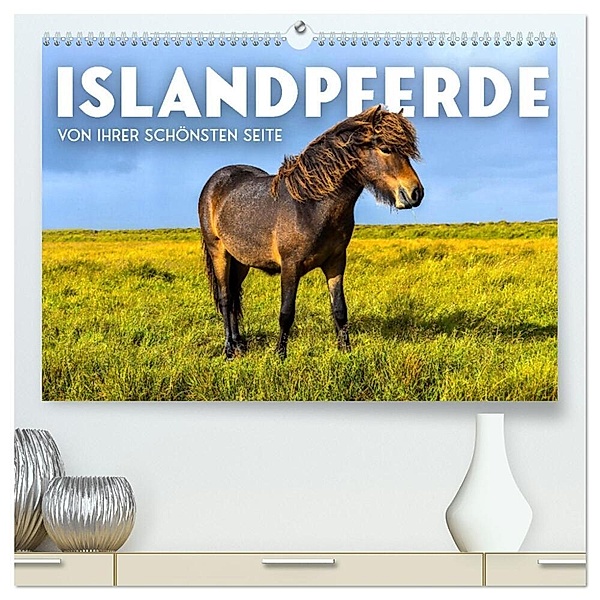 Islandpferde - Von ihrer schönsten Seite (hochwertiger Premium Wandkalender 2024 DIN A2 quer), Kunstdruck in Hochglanz, SF