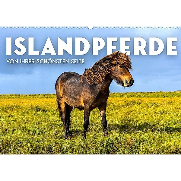 Islandpferde - Von ihrer schönsten Seite (Wandkalender 2023 DIN A2 quer), SF