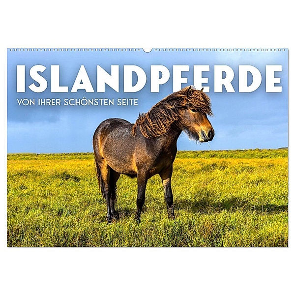 Islandpferde - Von ihrer schönsten Seite (Wandkalender 2024 DIN A2 quer), CALVENDO Monatskalender, SF