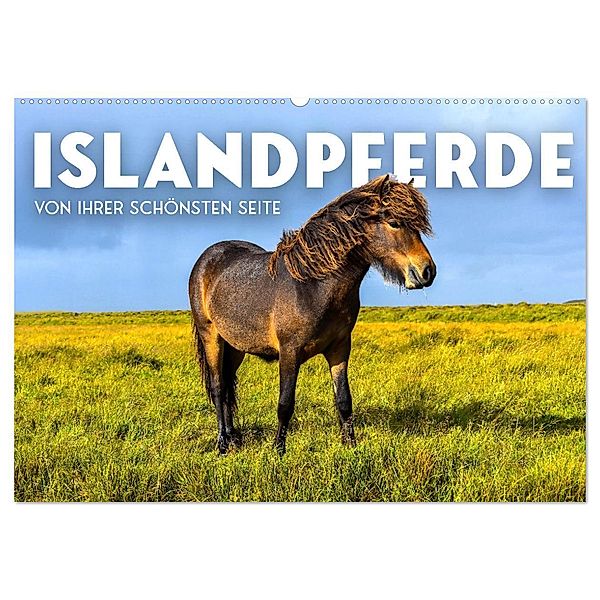 Islandpferde - Von ihrer schönsten Seite (Wandkalender 2025 DIN A2 quer), CALVENDO Monatskalender, Calvendo, SF