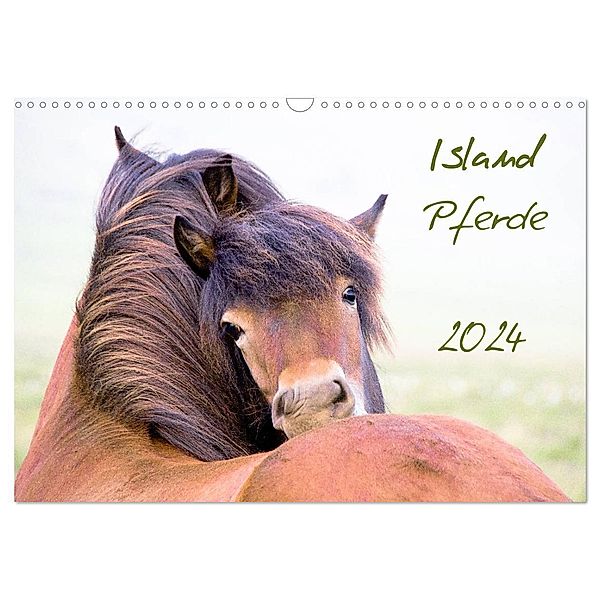 Islandpferde (Wandkalender 2024 DIN A3 quer), CALVENDO Monatskalender, Frauke Gimpel