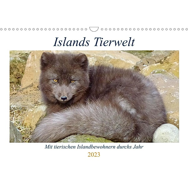Islands Tierwelt - Mit tierischen Inselbewohnern durchs Jahr (Wandkalender 2023 DIN A3 quer), Patrick Dehnhardt