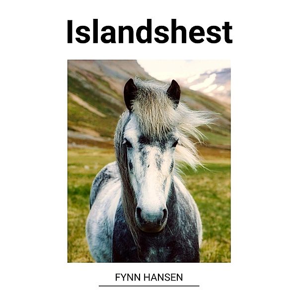 Islandshest, Fynn Hansen