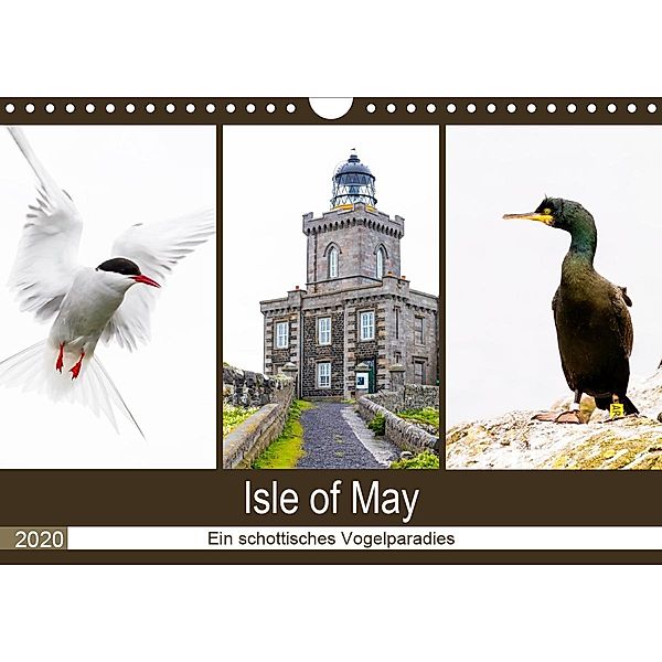 Isle of May - Ein schottisches Vogelparadies (Wandkalender 2020 DIN A4 quer), Janita Webeler