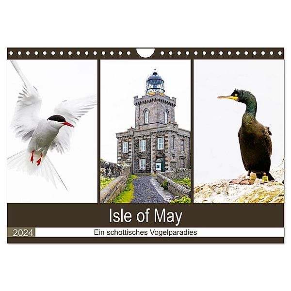 Isle of May - Ein schottisches Vogelparadies (Wandkalender 2024 DIN A4 quer), CALVENDO Monatskalender, Janita Webeler