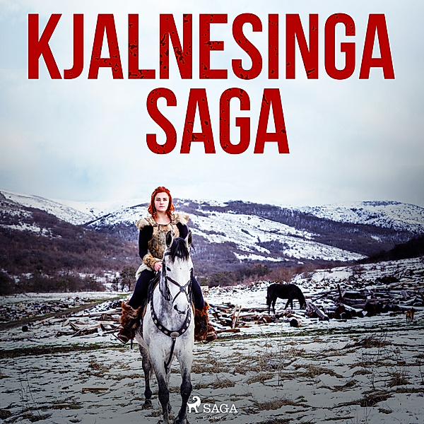 Íslendingasögur - Kjalnesinga saga, Óþekktur