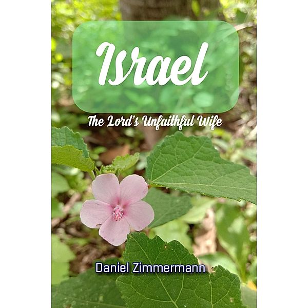 Israel: The Lord's Unfaithful Wife, Daniel Zimmermann