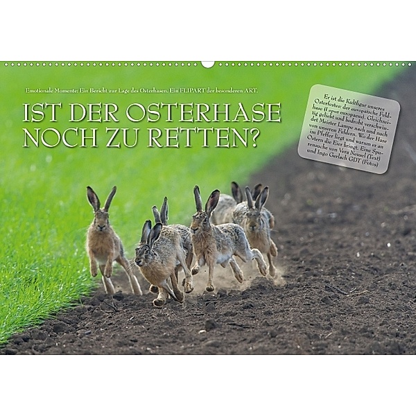 Ist der Osterhase noch zu retten? (Posterbuch DIN A3 quer), Ingo Gerlach, Vera Neusel