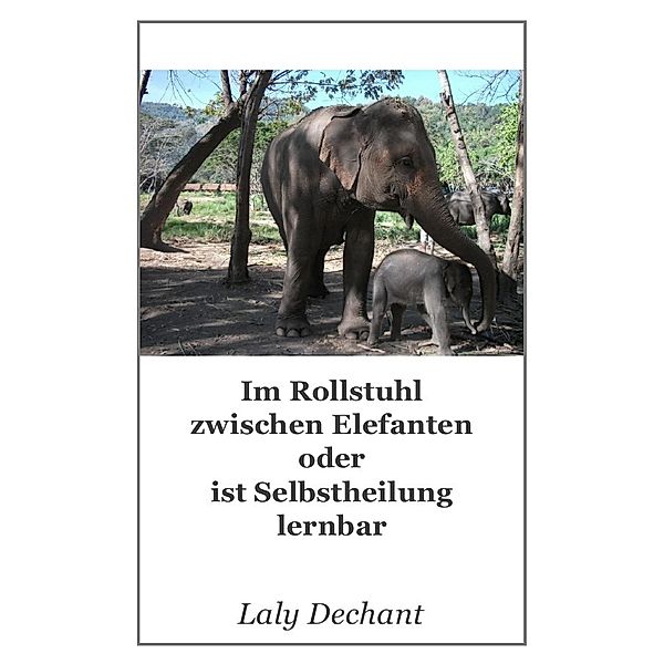 Ist Selbstheilung lernbar? / Im Rollstuhl zwischen Elefanten oder ist Selbstheilung lernbar, Laly Dechant