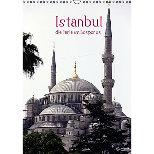 Istanbul, die Perle am Bosporus (Wandkalender 2014 DIN A3 hoch), Roland Irlenbusch