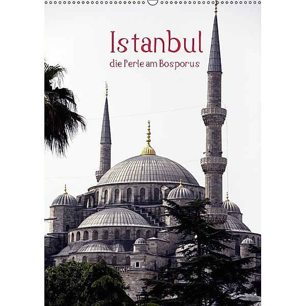 Istanbul, die Perle am Bosporus (Wandkalender 2019 DIN A2 hoch), Roland Irlenbusch