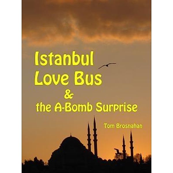 Istanbul Love Bus / Travel Info Exchange, Inc., Tom Brosnahan