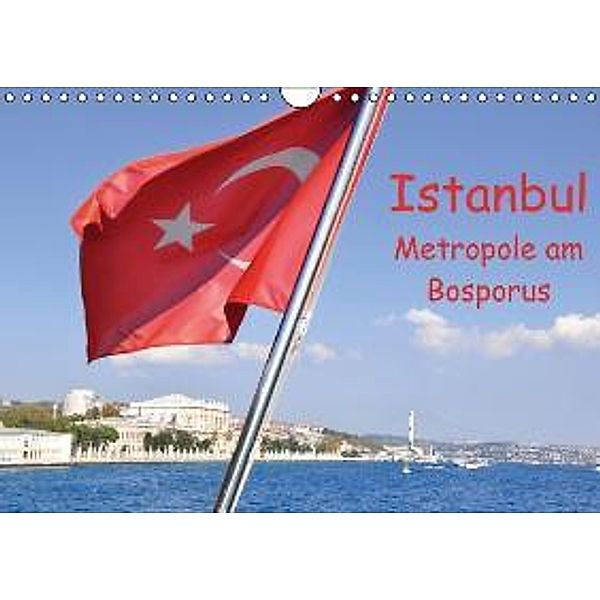 Istanbul - Metropole am Bosporus (Wandkalender 2016 DIN A4 quer), Pia Thauwald