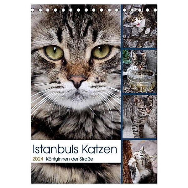 Istanbuls Katzen (Tischkalender 2024 DIN A5 hoch), CALVENDO Monatskalender, Harald Wagener