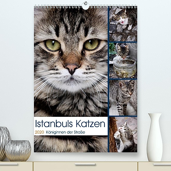 Istanbuls Katzen(Premium, hochwertiger DIN A2 Wandkalender 2020, Kunstdruck in Hochglanz), Harald Wagener