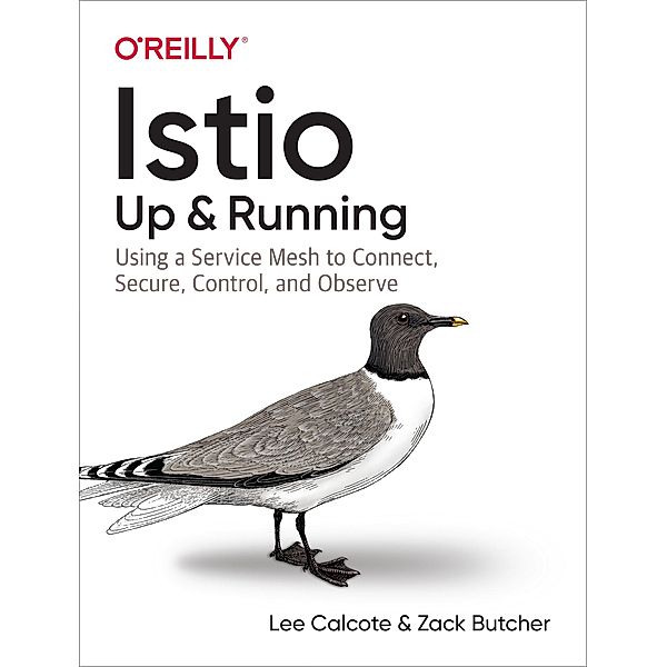 Istio: Up and Running, Lee Calcote