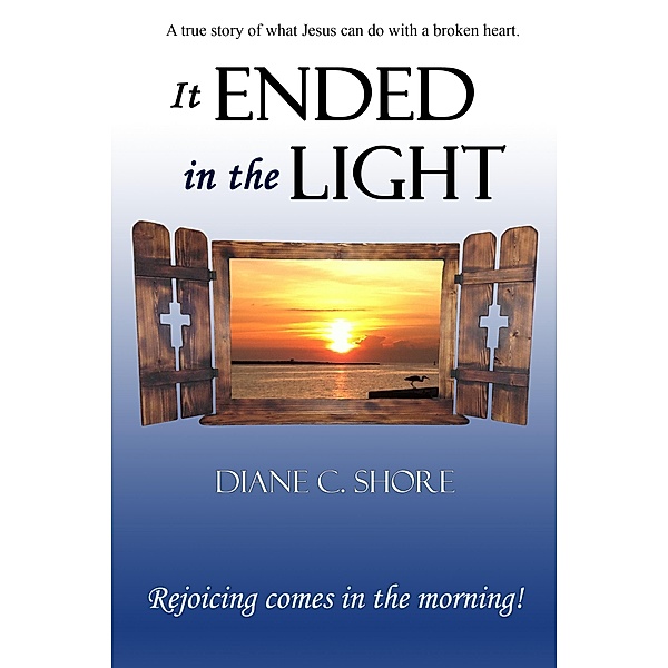 It Ended in the Light, Diane C. Shore