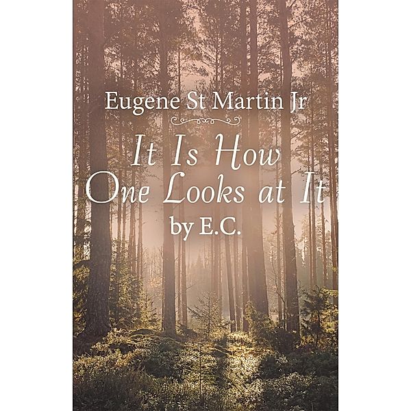 It Is How One Looks at It by E. C., Eugene St Martin Jr