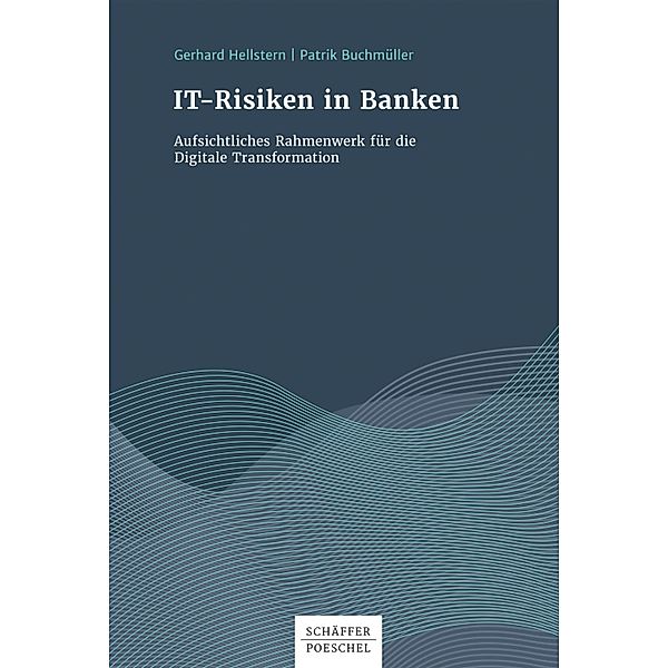 IT-Risiken in Banken, Gerhard Hellstern, Patrik Buchmüller