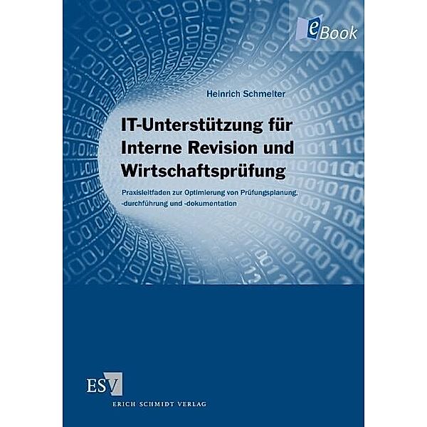 IT-Unterstützung für Interne Revision und Wirtschaftsprüfung, Heinrich Schmelter