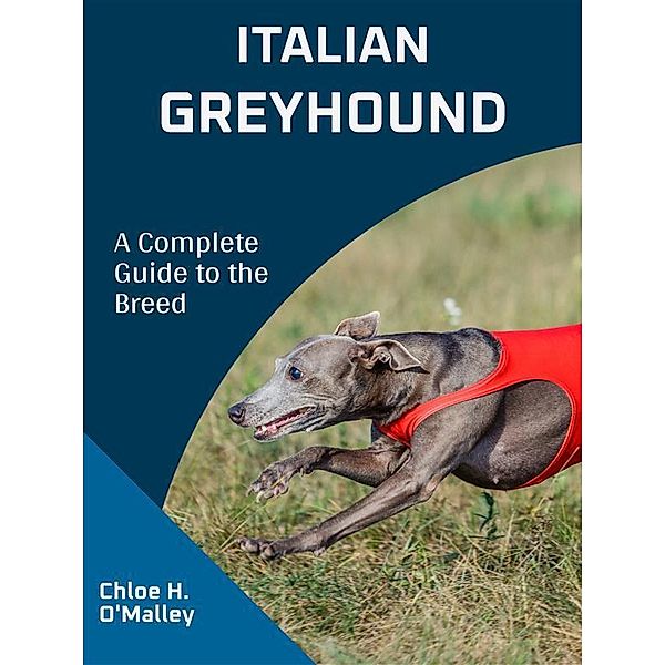 Italian Greyhound, Chloe H. O'Malley