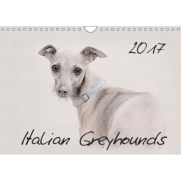 Italian Greyhounds 2017 (Wall Calendar 2017 DIN A4 Landscape), Andrea Redecker