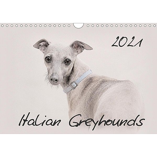 Italian Greyhounds 2021 (Wall Calendar 2021 DIN A4 Landscape), Andrea Redecker