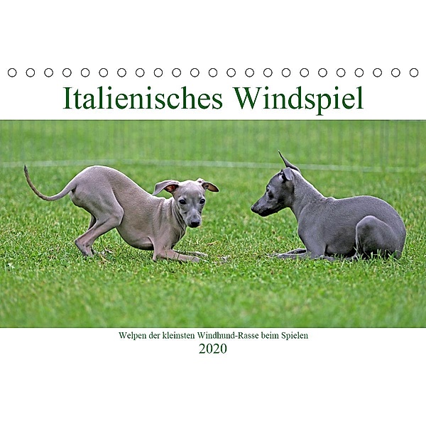 Italienisches Windspiel (Tischkalender 2020 DIN A5 quer), Klaus Eppele