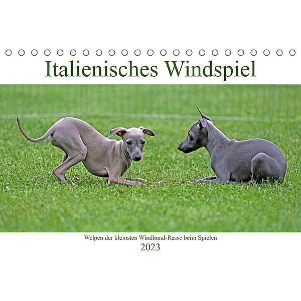 Italienisches Windspiel (Tischkalender 2023 DIN A5 quer), Klaus Eppele