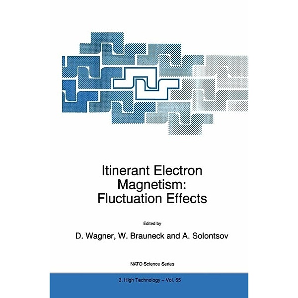 Itinerant Electron Magnetism: Fluctuation Effects / NATO Science Partnership Subseries: 3 Bd.55