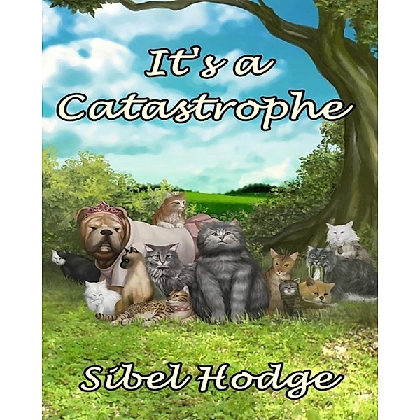 It's a Catastrophe, Sibel Hodge