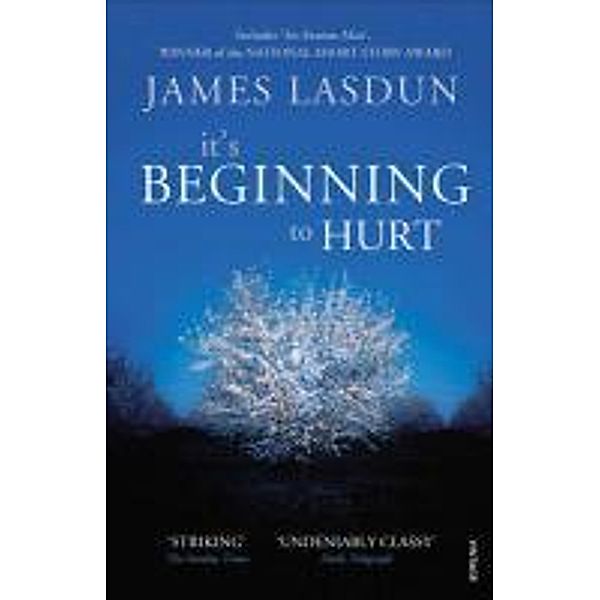 It's Beginning To Hurt, James Lasdun