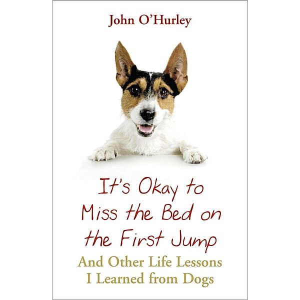 It's OK to Miss the Bed on the First Jump, John O'Hurley